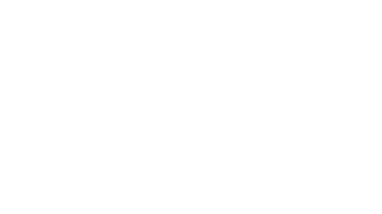 NSF Mondoturf – 66 | VA